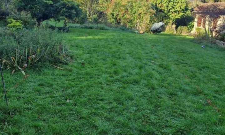 fb img 1669648764214